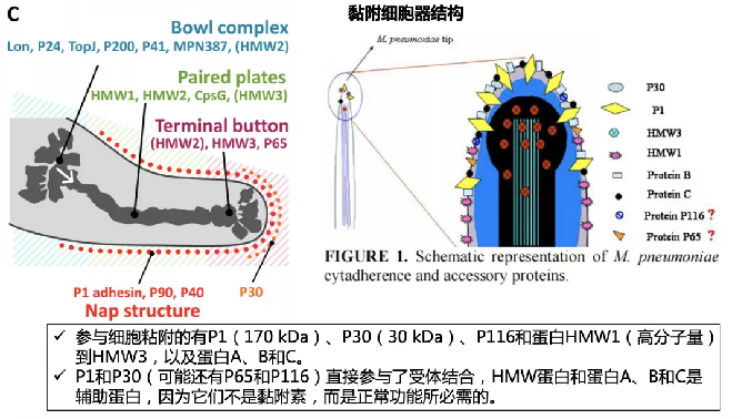 圖片1.png