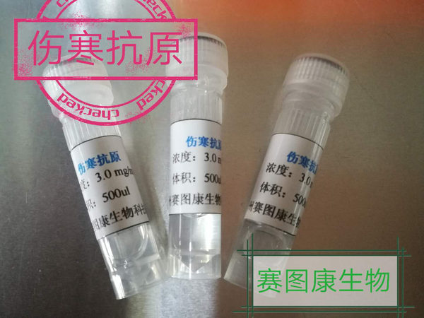 傷寒抗原1.png