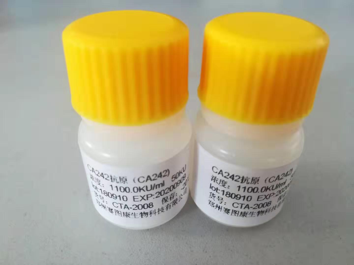 糖类抗原242单抗