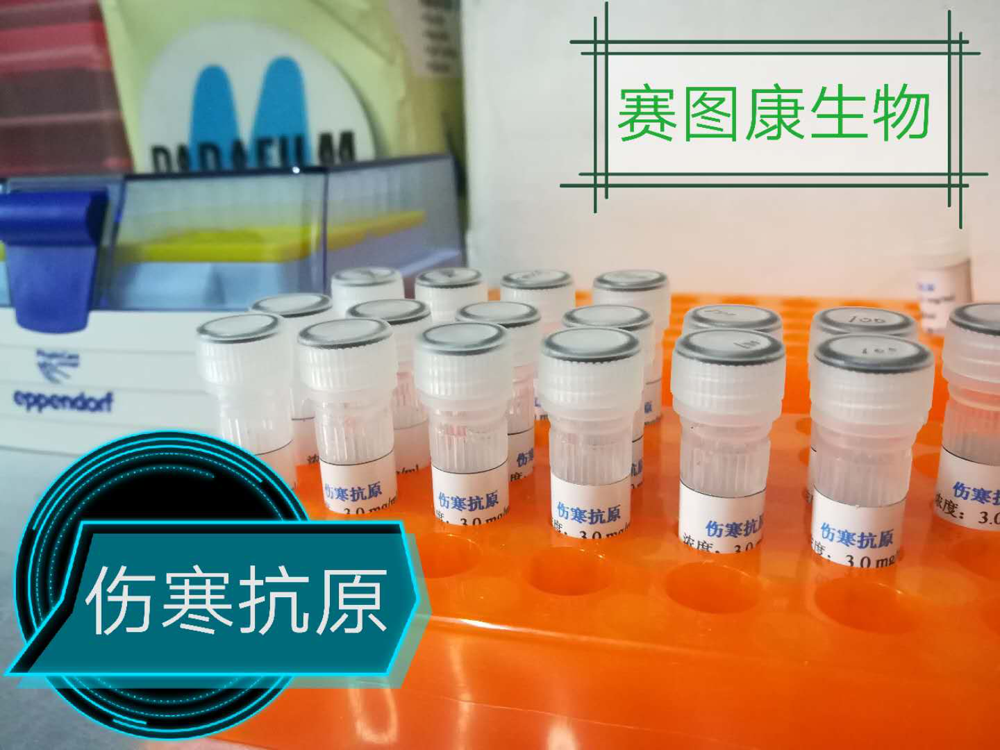 伤寒沙门菌血清型图片